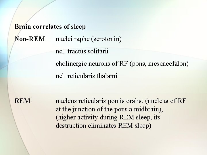 Brain correlates of sleep Non-REM nuclei raphe (serotonin) ncl. tractus solitarii cholinergic neurons of