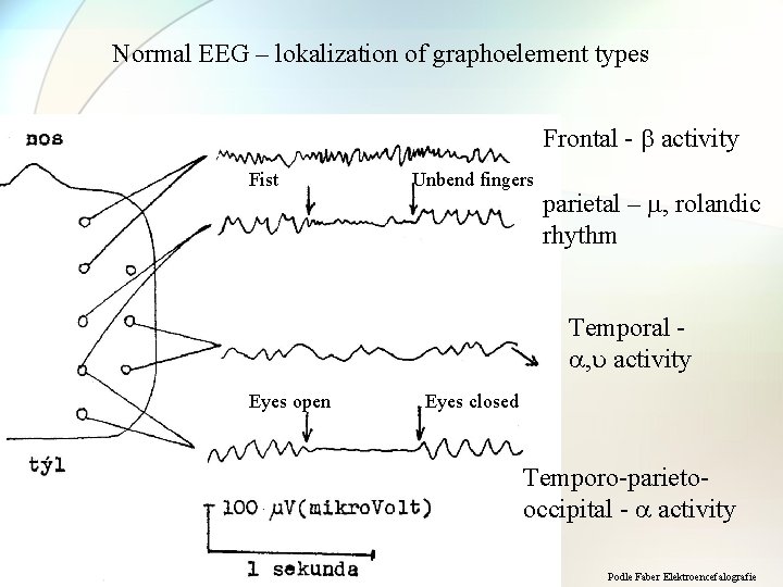 Normal EEG – lokalization of graphoelement types Frontal - activity Fist Unbend fingers parietal