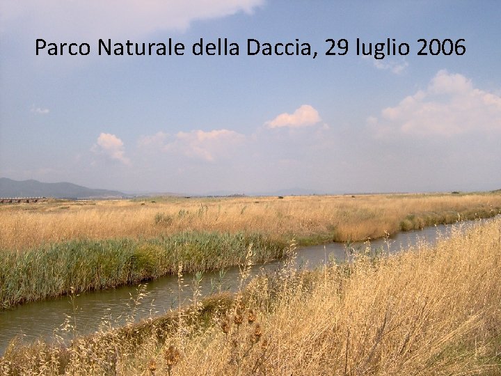Parco Naturale della Daccia, 29 luglio 2006 Parco Naturale della Daccia, 29 luglio 2006