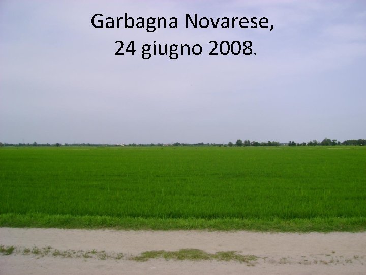 Garbagna Novarese, 24 giugno 2008. Garbagna Novarese, 24 giugno 2008.