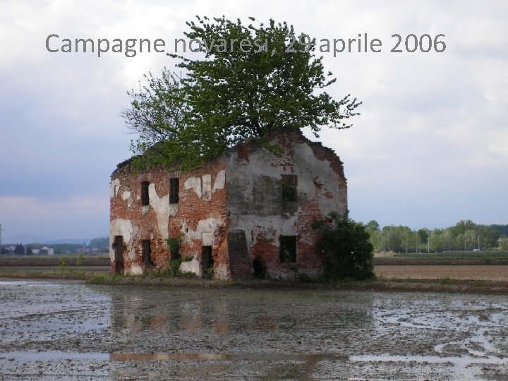 Campagne novaresi, 29 aprile 2006 Campagne novaresi, 29 aprile 2006