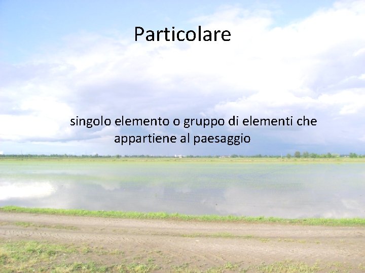 Particolare singolo elemento o gruppo di elementi che appartiene al paesaggio Particolare singolo elemento o gruppo di elementi che appartiene al paesaggio
