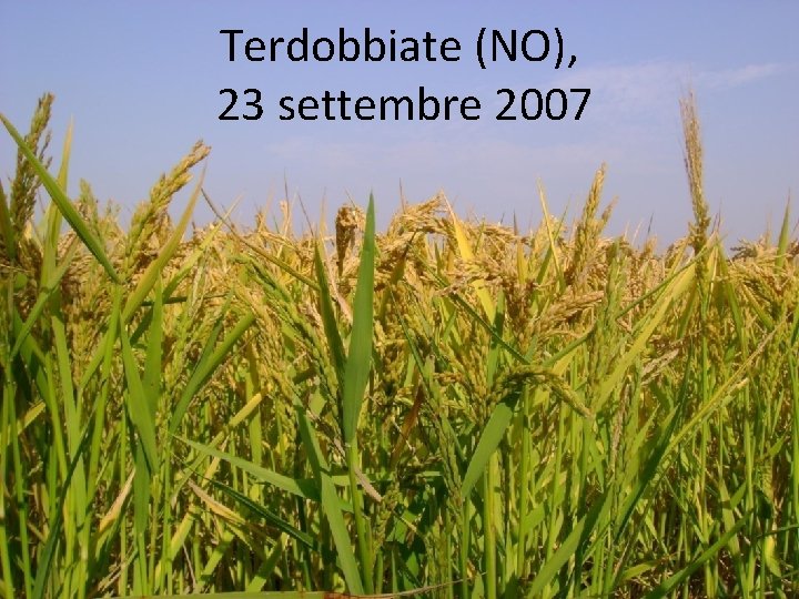 Terdobbiate (NO), 23 settembre 2007 Terdobbiate (NO), 23 settembre 2007