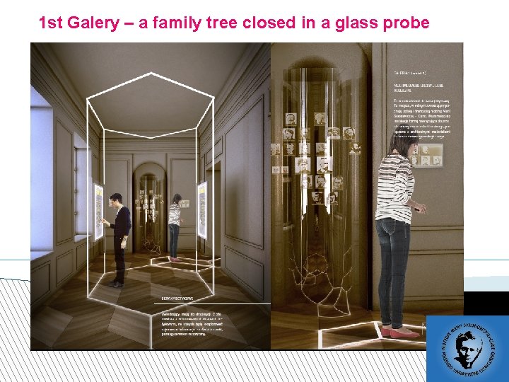 1 st Galery – a family tree closed in a glass probe 