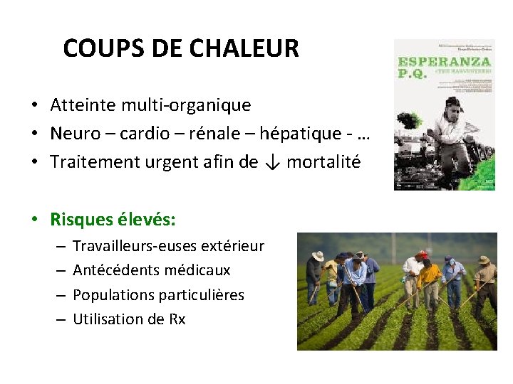 COUPS DE CHALEUR • Atteinte multi-organique • Neuro – cardio – rénale – hépatique