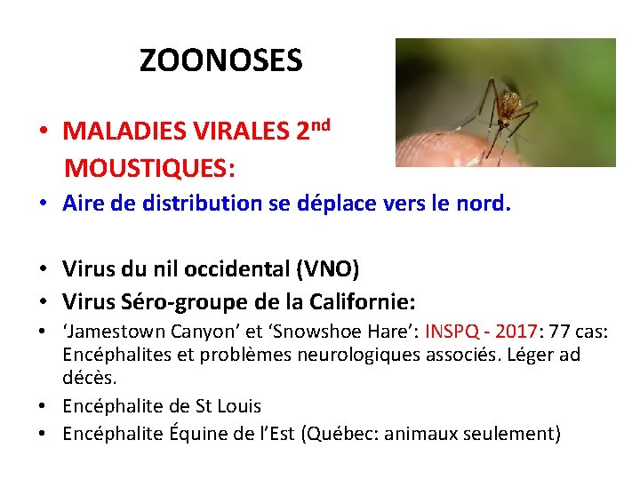 ZOONOSES • MALADIES VIRALES 2 nd MOUSTIQUES: • Aire de distribution se déplace vers