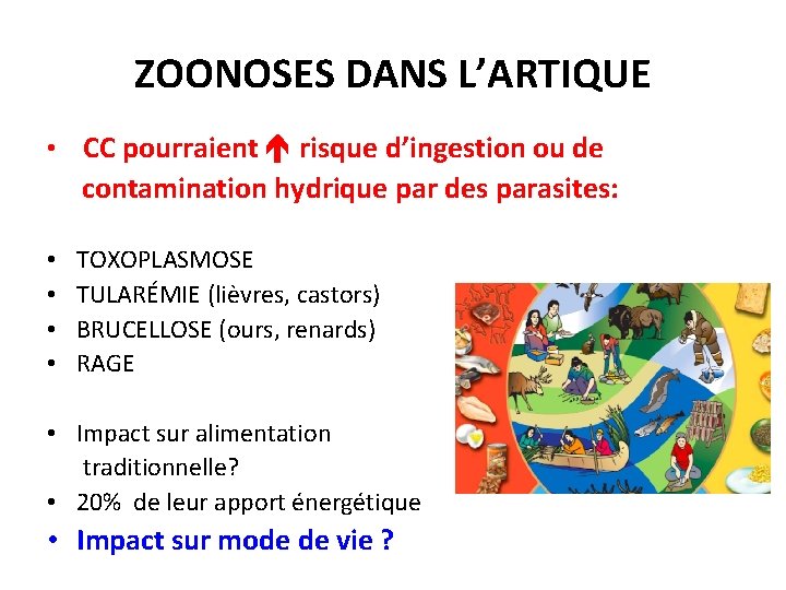 ZOONOSES DANS L’ARTIQUE • CC pourraient risque d’ingestion ou de contamination hydrique par des