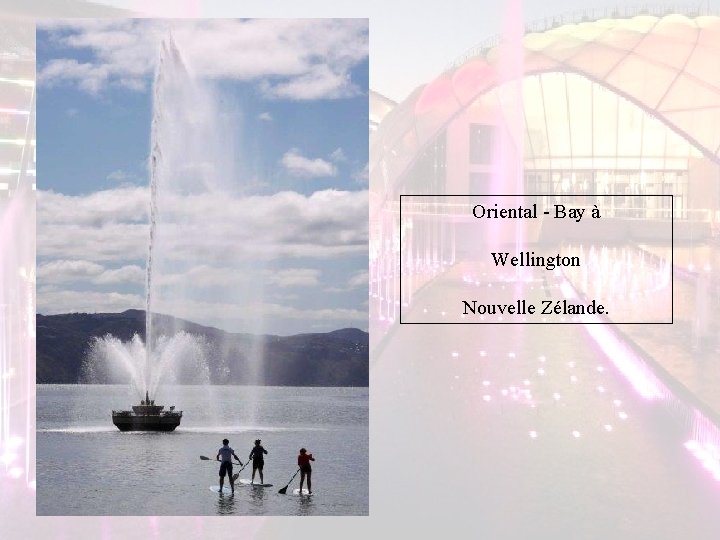 Oriental - Bay à Wellington Nouvelle Zélande. Oriental - Bay à Wellington Nouvelle Zélande.