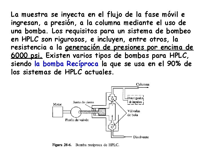 La muestra se inyecta en el flujo de la fase móvil e ingresan, a