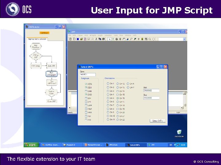 User Input for JMP Script © OCS Consulting 