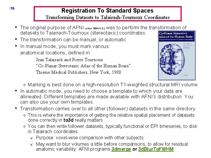 -19 - Registration To Standard Spaces Transforming Datasets to Talairach-Tournoux Coordinates • The original