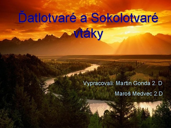 Ďatlotvaré a Sokolotvaré vtáky Vypracovali: Martin Gonda 2. D Maroš Medvec 2. D 