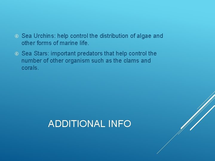  Sea Urchins: help control the distribution of algae and other forms of marine