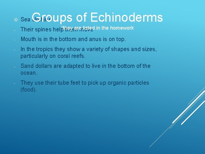 Groups of Echinoderms Sea Urchins - aremove listed in the homework Their spines help*they