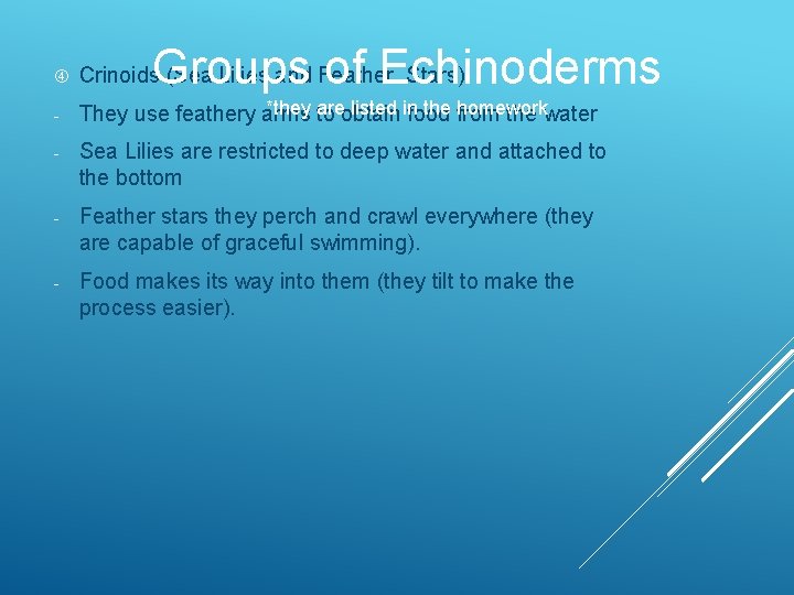 Groups of Echinoderms Crinoids (Sea Lilies and Feather Stars) - *they are listed in