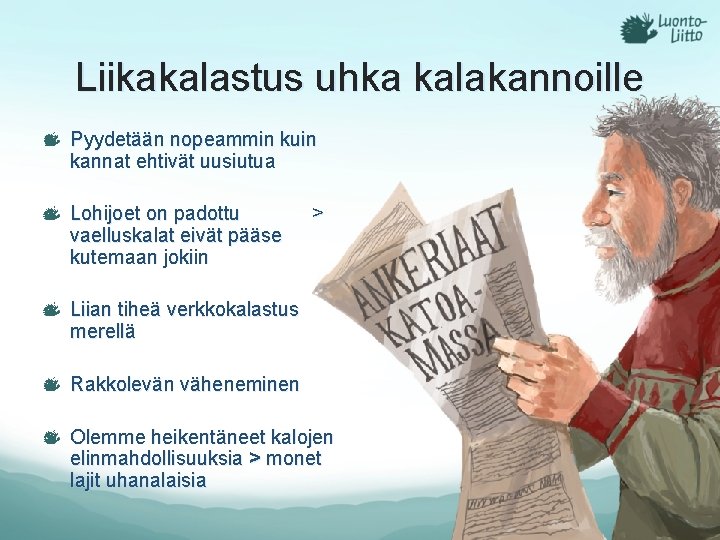 Liikakalastus uhka kalakannoille Pyydetään nopeammin kuin kannat ehtivät uusiutua Lohijoet on padottu vaelluskalat eivät