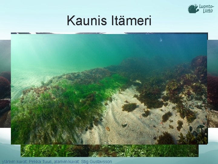 Kaunis Itämeri ylärivin kuvat: Pekka Tuuri, alarivin kuvat: Stig Gustavsson 