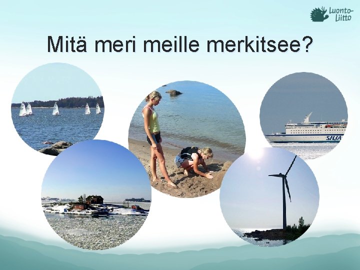Mitä meri meille merkitsee? 