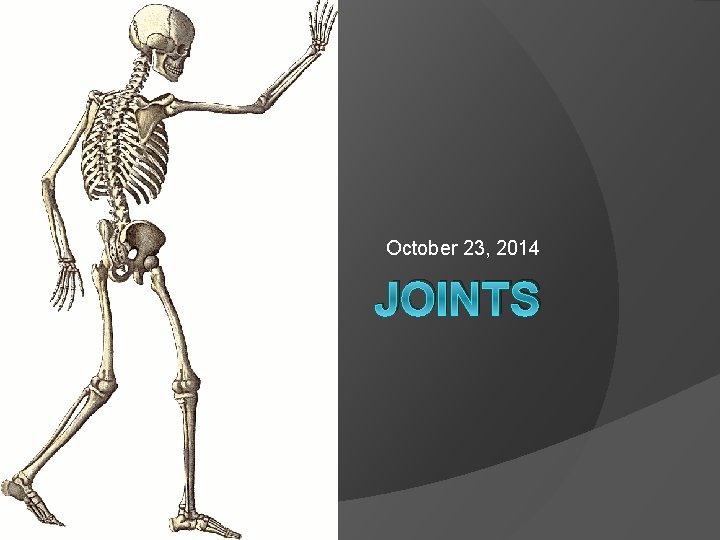 October 23, 2014 JOINTS 