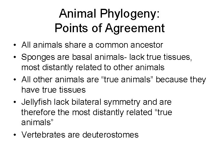 Animal Phylogeny: Points of Agreement • All animals share a common ancestor • Sponges