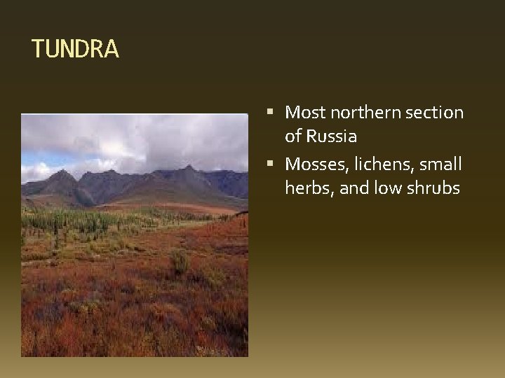 TUNDRA Most northern section of Russia Mosses, lichens, small herbs, and low shrubs 