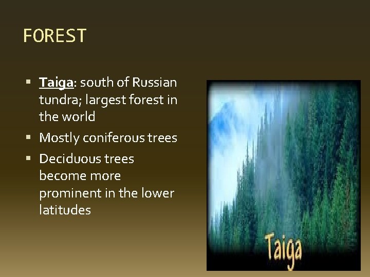 FOREST Taiga: south of Russian tundra; largest forest in the world Mostly coniferous trees