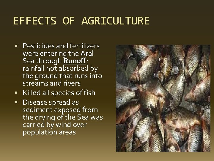 EFFECTS OF AGRICULTURE Pesticides and fertilizers were entering the Aral Sea through Runoff: rainfall