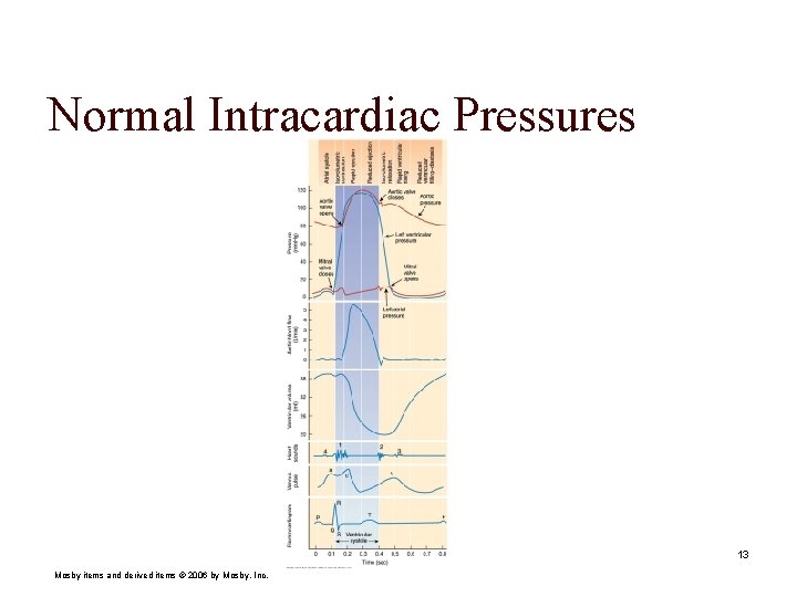 Normal Intracardiac Pressures 13 Mosby items and derived items © 2006 by Mosby, Inc.