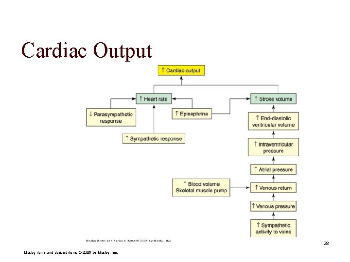 Cardiac Output 28 Mosby items and derived items © 2006 by Mosby, Inc. 