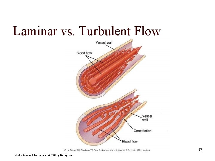 Laminar vs. Turbulent Flow 37 Mosby items and derived items © 2006 by Mosby,