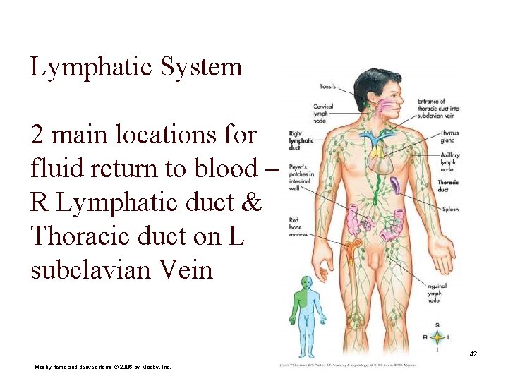 Lymphatic System 2 main locations for fluid return to blood – R Lymphatic duct