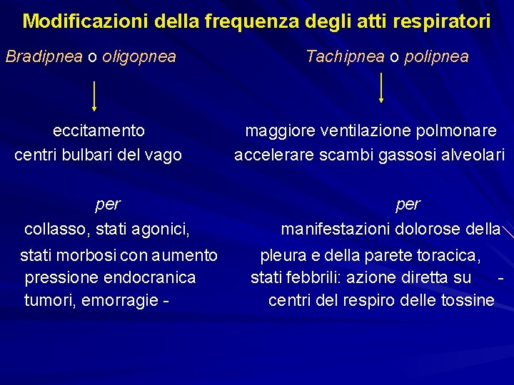 Modificazioni della frequenza degli atti respiratori Bradipnea o oligopnea eccitamento centri bulbari del vago