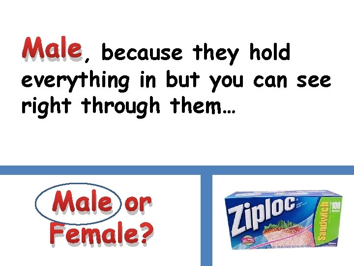 Male, because they hold everything in but you can see right through them… Male