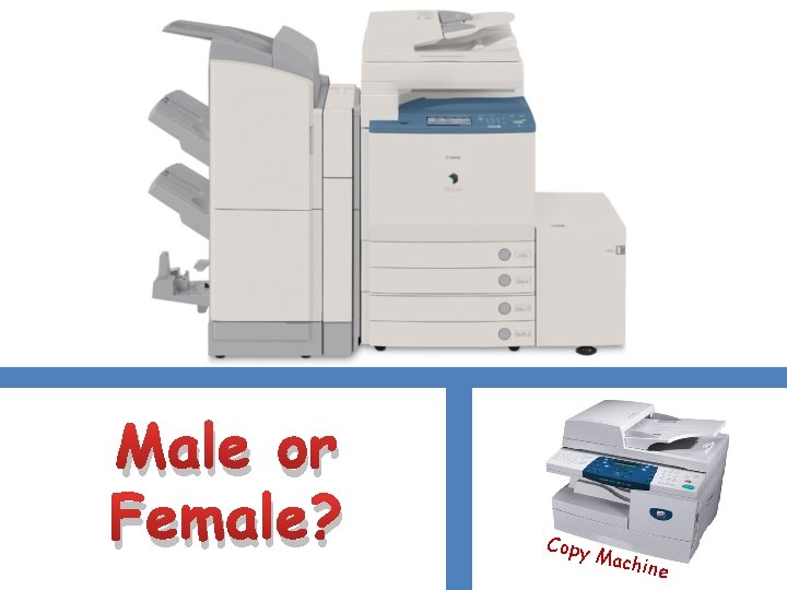 Male or Female? Copy Mach ine 