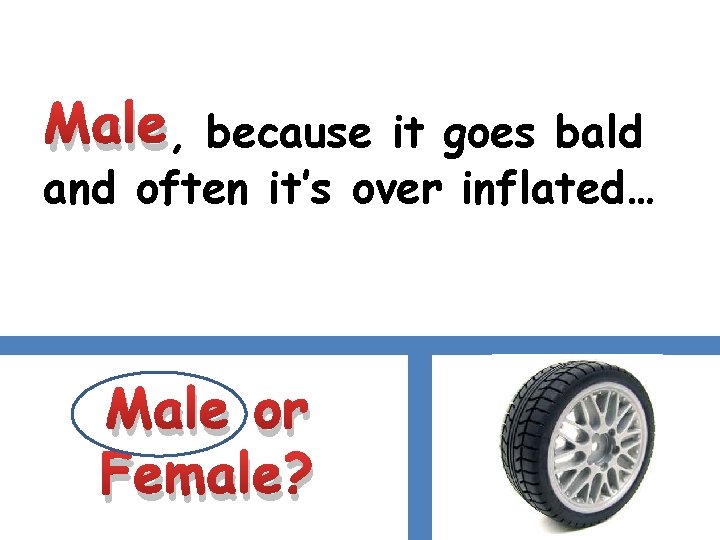 Male, because it goes bald and often it’s over inflated… Male or Female? 