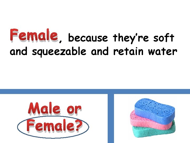 Female, because they’re soft and squeezable and retain water Male or Female? 