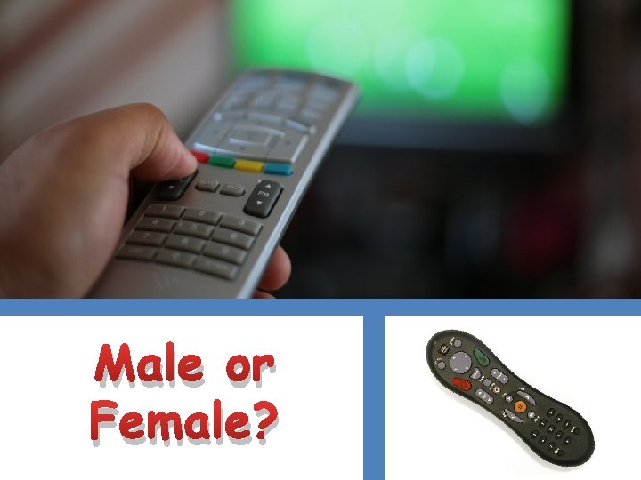 Male or Female? 