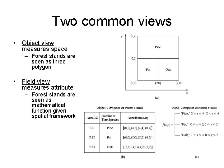 Two common views • Object view measures space – Forest stands are seen as