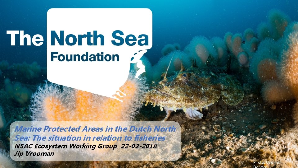 Marine Protected Areas in the Dutch North Sea: The situation in relation to fisheries