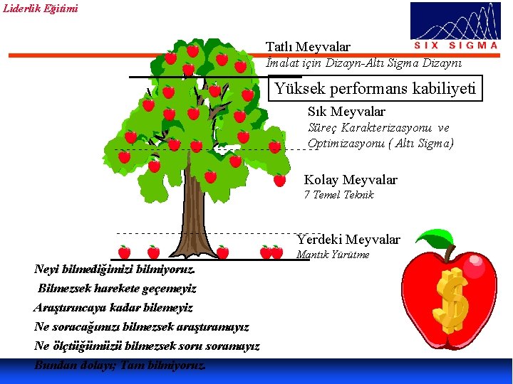Liderlik Eğitimi Tatlı Meyvalar İmalat için Dizayn-Altı Sigma Dizaynı Yüksek performans kabiliyeti Sık Meyvalar