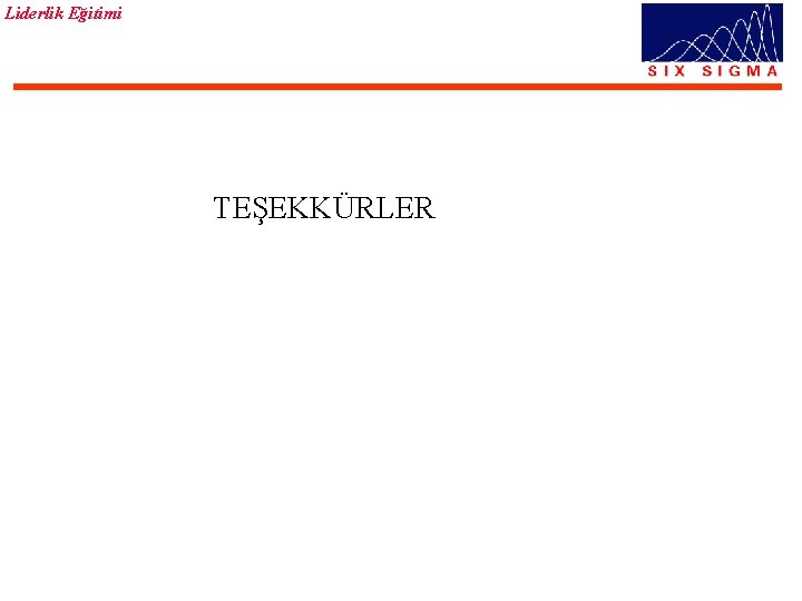 Liderlik Eğitimi TEŞEKKÜRLER 