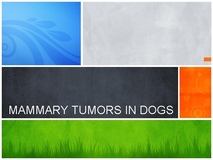 MAMMARY TUMORS IN DOGS 