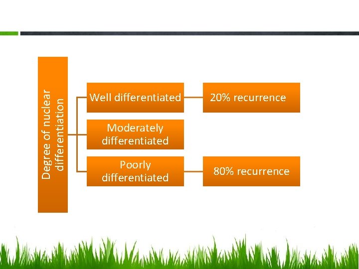 Degree of nuclear differentiation Well differentiated 20% recurrence Moderately differentiated Poorly differentiated 80% recurrence