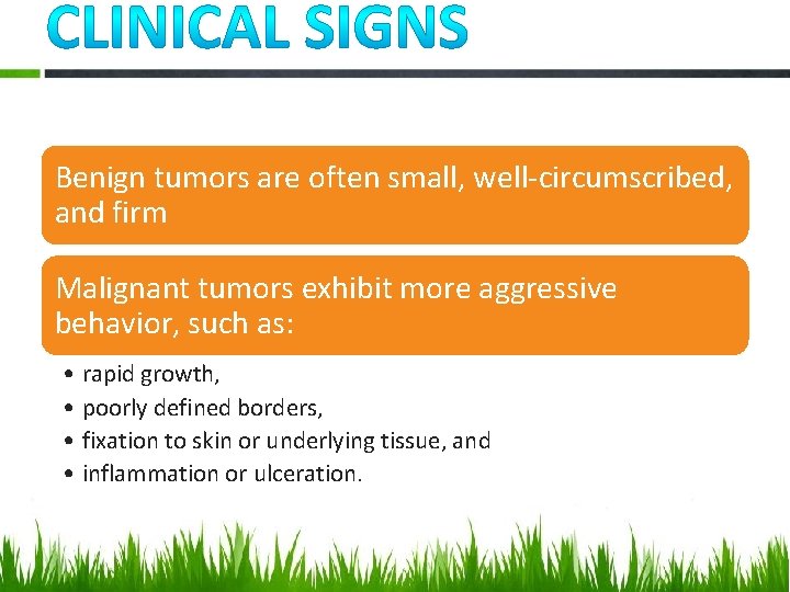 Benign tumors are often small, well-circumscribed, and firm Malignant tumors exhibit more aggressive behavior,