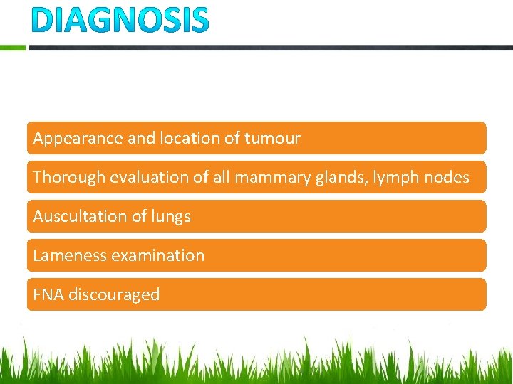 Appearance and location of tumour Thorough evaluation of all mammary glands, lymph nodes Auscultation