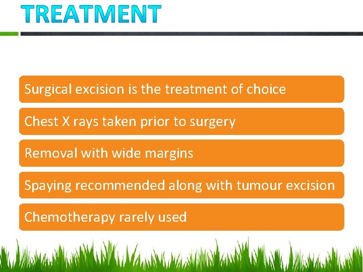 Surgical excision is the treatment of choice Chest X rays taken prior to surgery