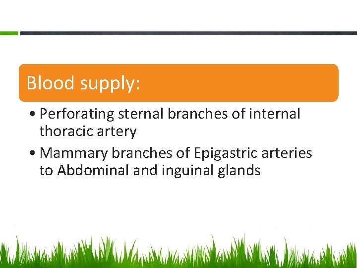 Blood supply: • Perforating sternal branches of internal thoracic artery • Mammary branches of