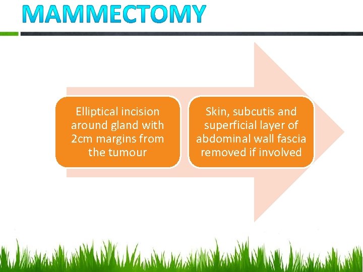 Elliptical incision around gland with 2 cm margins from the tumour Skin, subcutis and