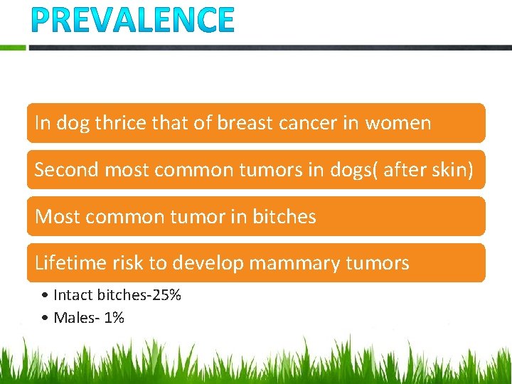 In dog thrice that of breast cancer in women Second most common tumors in