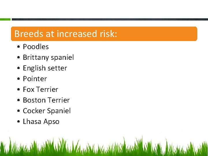 Breeds at increased risk: • Poodles • Brittany spaniel • English setter • Pointer